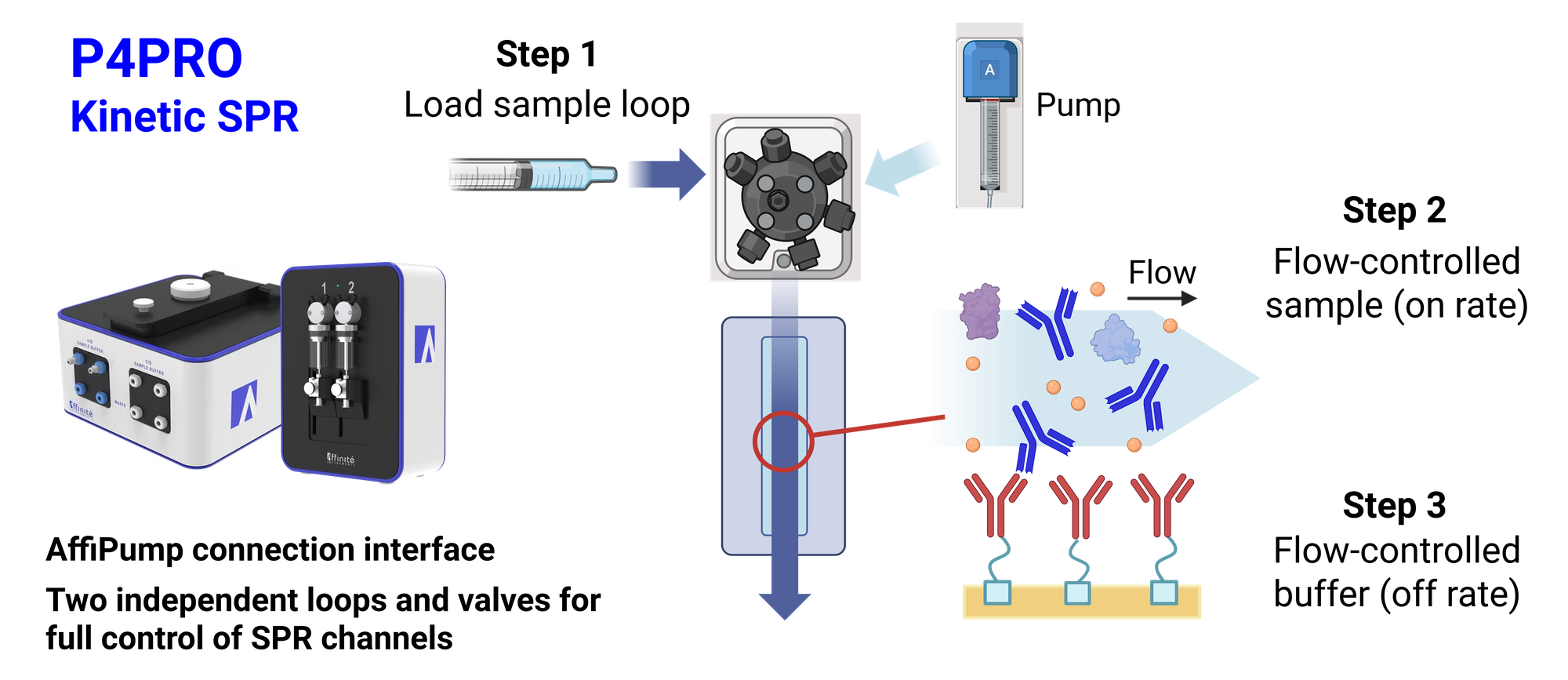 P4PRO kinetic SPR: the AffiPump delivers sample under continuous flow over the sensor surface