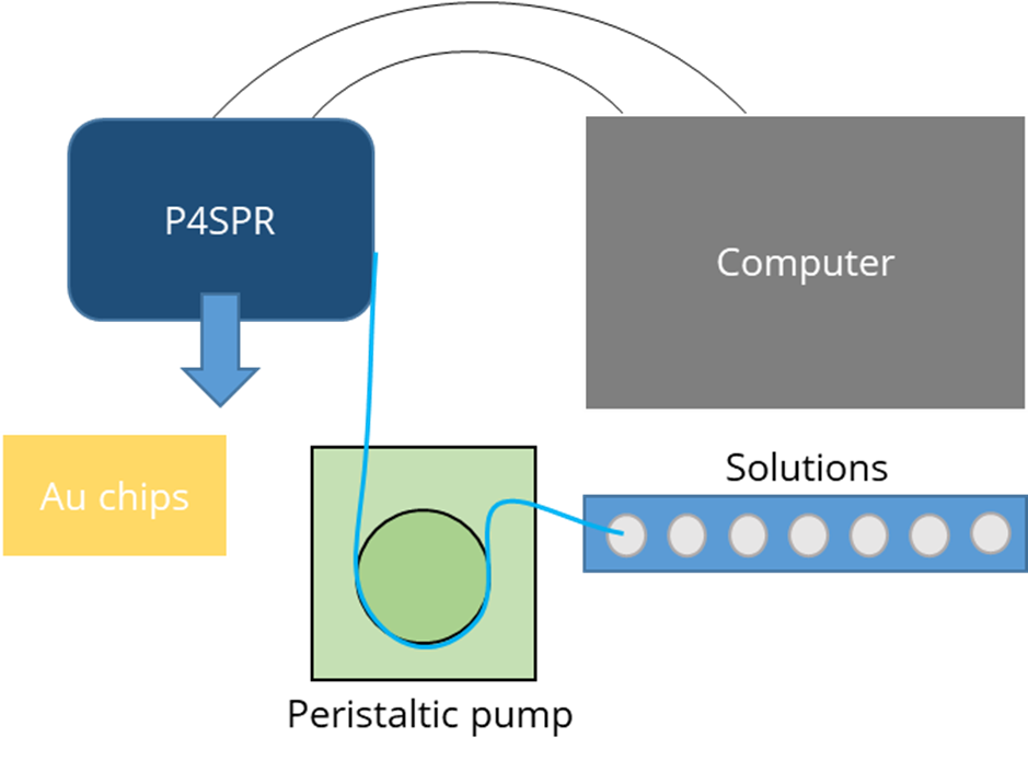 Schematic of P4SPR connected to a flow delivery system, showing the instrument, computer, Au chips, solution vials, and peristaltic pump.