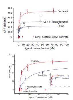 Two-panel concentration-response curves. Top panel: SPR shift vs ligand concentration (0–100 μM) for farnesol, (Z)-11-hexadecenal, cVA, and non-binders (ethyl acetate, ethyl butyrate). Bottom panel: SPR shift vs ligand concentration (0–500 μM) for limonene, bombykol, hexamyl acetate, and isoamyl acetate.