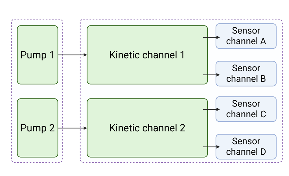Schematic of P4PRO and AffiPump dual-channel architecture