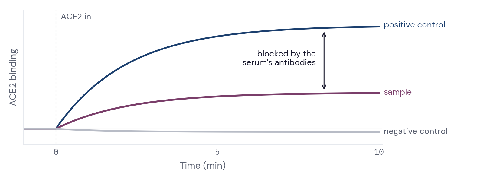 Illustration of ACE2 binding curves in the positive control, sample and negative control channels