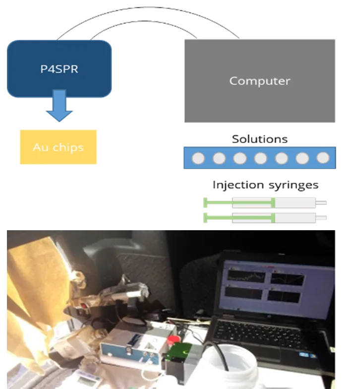 (Top) Schematic of P4SPR field setup showing peristaltic pump drawing well water into a collection bucket, then into the P4SPR connected by USB to a laptop powered by a generator. (Bottom) Photograph of the actual field setup in the bed of a pickup truck.