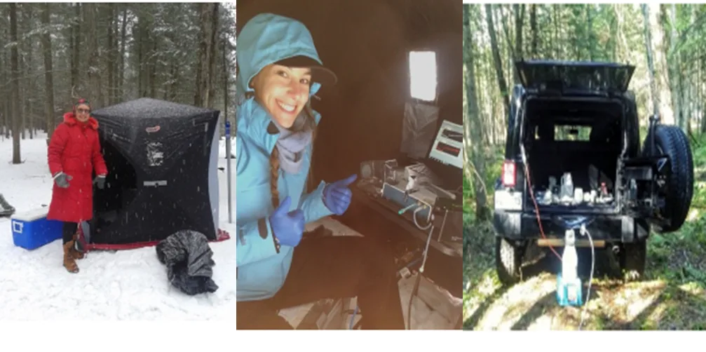 P4SPR field deployment for RDX detection