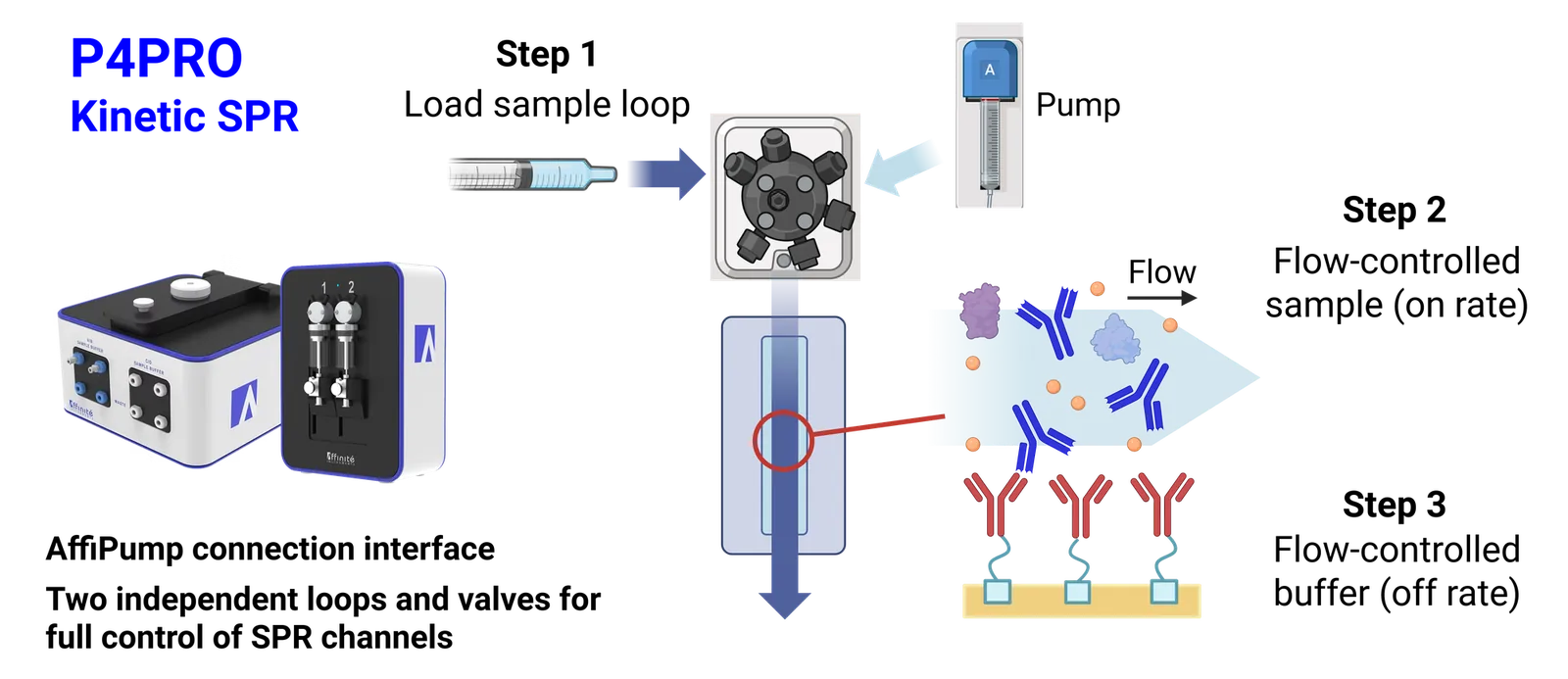 P4PRO diagram showing AffiPump, sample loop, sensor and waste in kinetic flow path