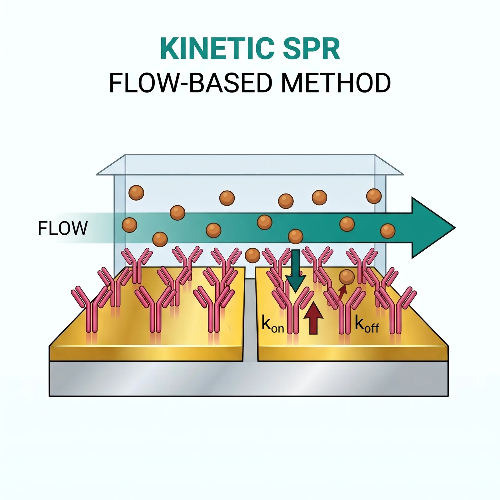 Kinetic SPR — flow-based analyte delivery