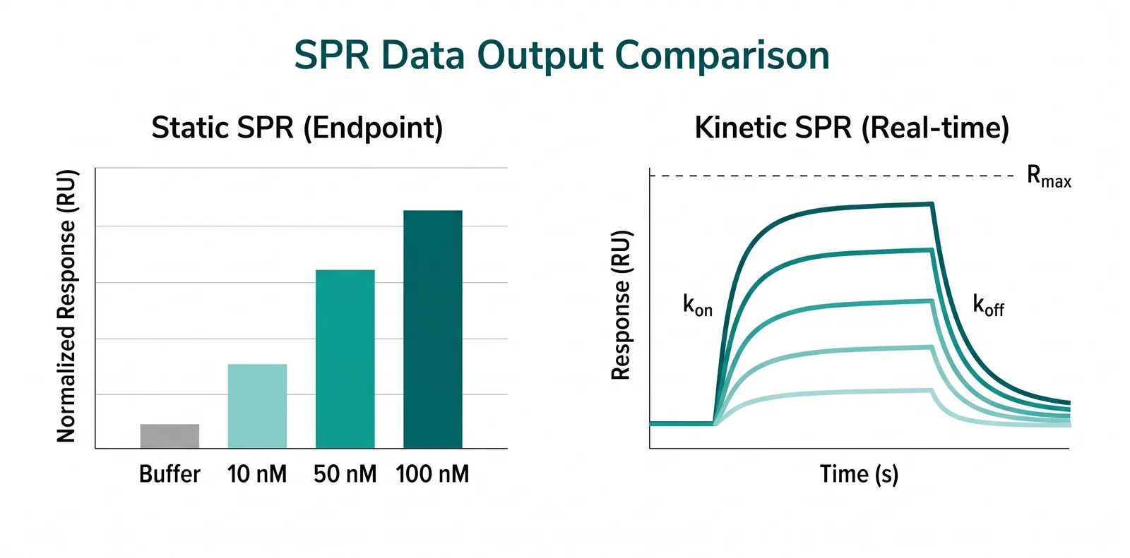 Data output comparison: static SPR bar chart showing normalized response for crude samples (left); kinetic binding isotherm with KD at half Rmax (right)