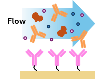 Static SPR: multiple binding response curves at different analyte concentrations