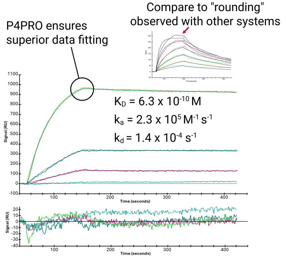 Protein A–IgG kinetic sensorgrams measured on the P4PRO with 1:1 fits: KD 6.3 × 10^-10 M, ka 2.3 × 10^5 M^-1 s^-1, kd 1.4 × 10^-4 s^-1