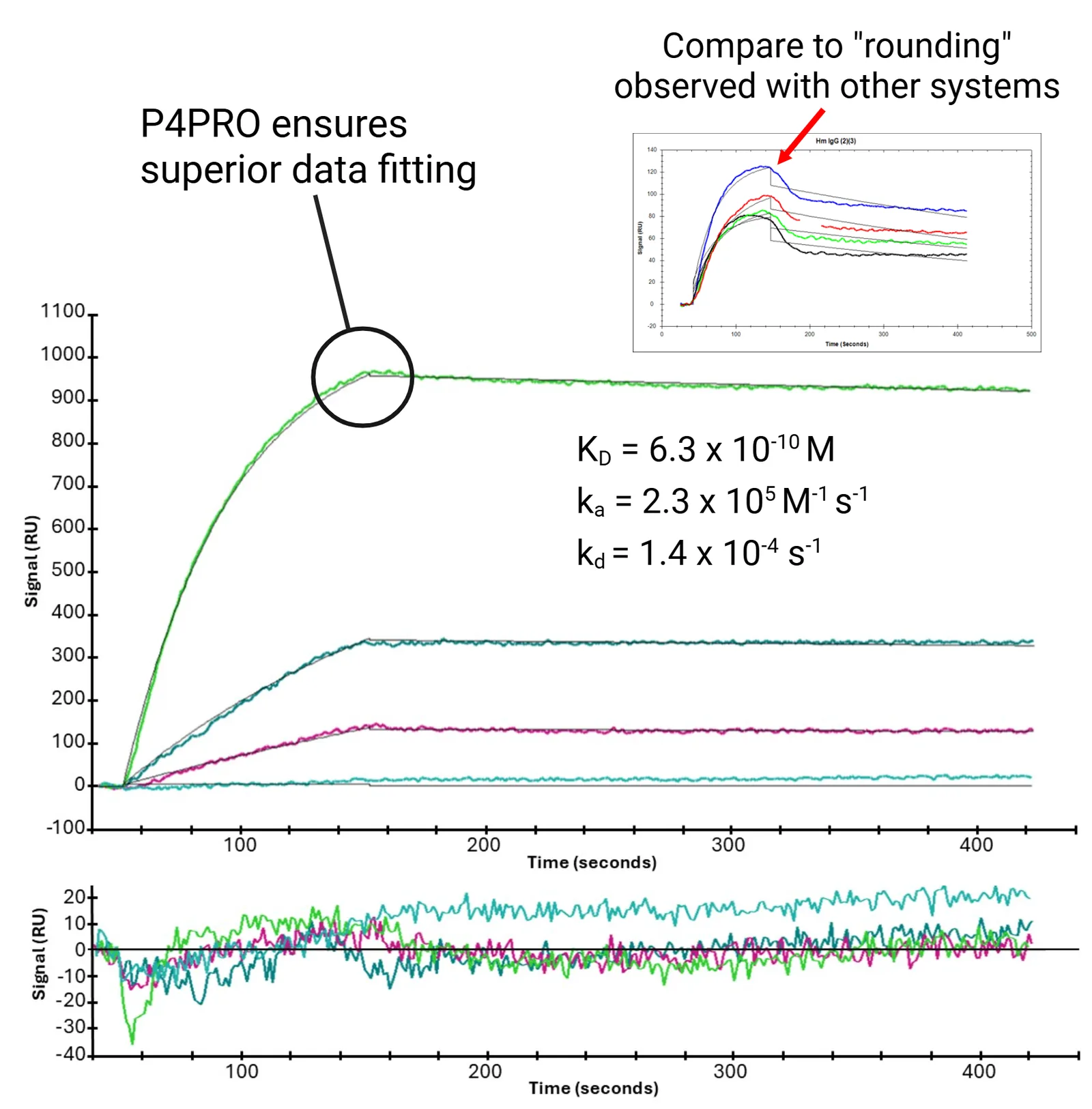 P4PRO sensorgram — Protein A–IgG association and dissociation phases