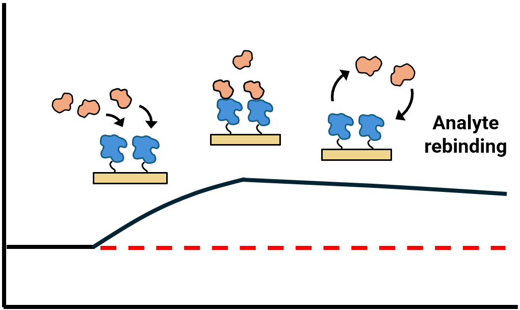 Rebinding — flat dissociation