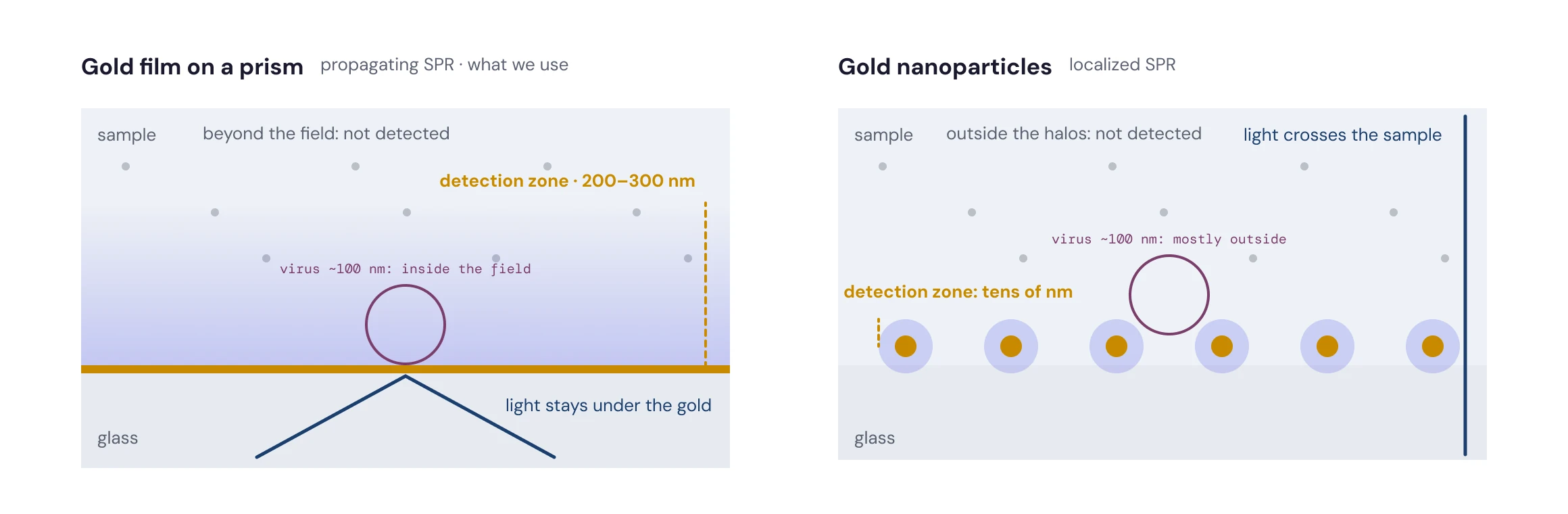 Figure 2 — thin film vs nanoparticle field, with a virus (TN-02)