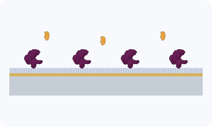 The binding surface