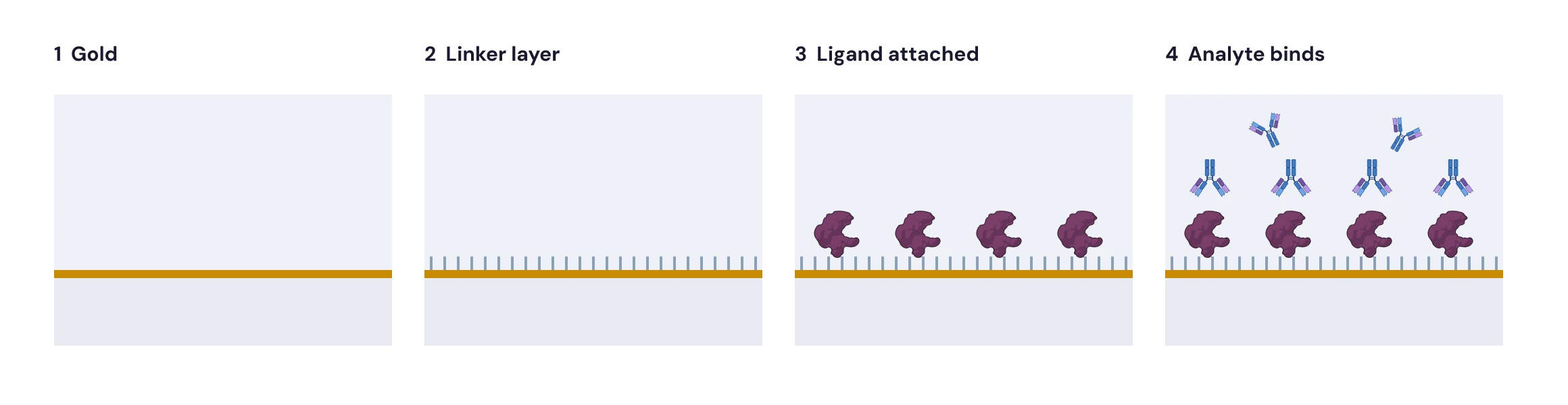 Figure 1 — building a binding surface