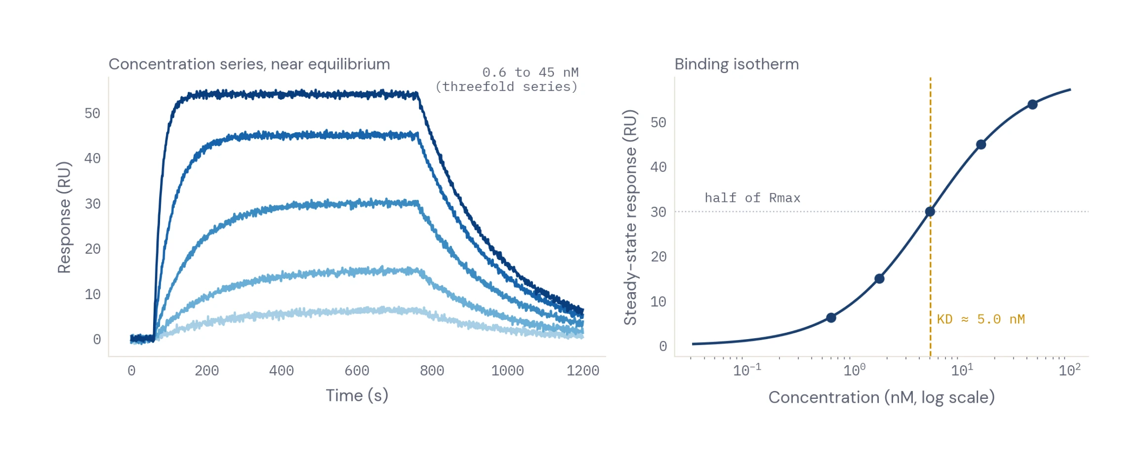 Figure 2 — equilibrium analysis