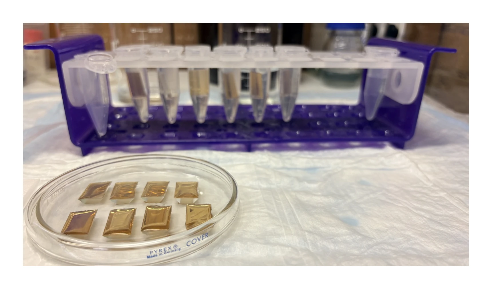 Figure 5 — sensor chips (photo)